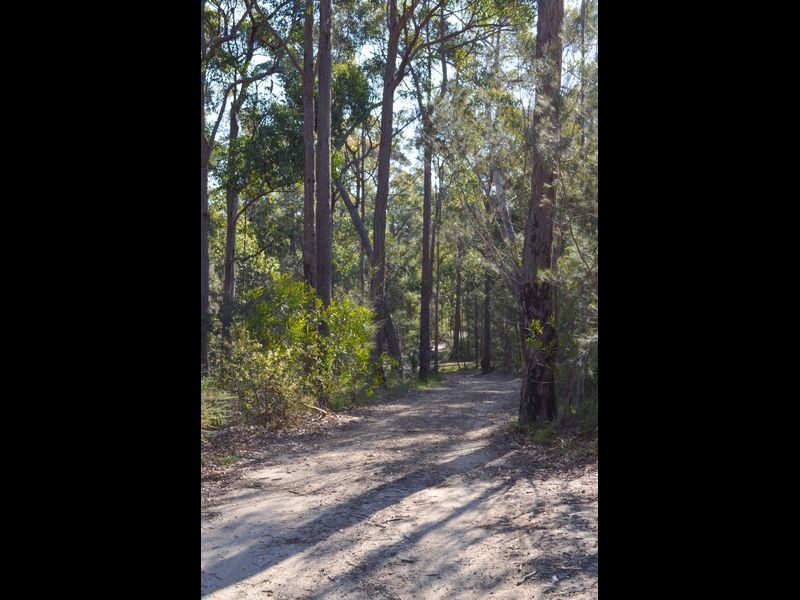 291 Pollwombra Road, Moruya NSW 2537