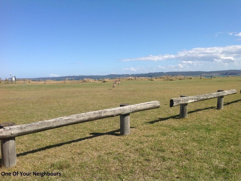 20 Maloneys Drive, Maloneys Beach NSW 2536