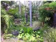29 Dell Pde, Moruya Heads NSW 2537