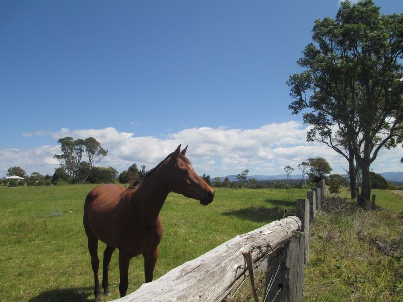 58 Mountain View Road, Moruya NSW 2537