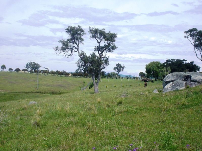 58 Mountain View Road, Moruya NSW 2537