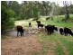 2685 Eurobodalla Road, Nerrigundah NSW 2545