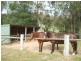 2685 Eurobodalla Road, Nerrigundah NSW 2545