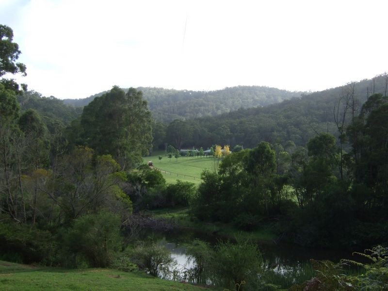 2685 Eurobodalla Road, Nerrigundah NSW 2545