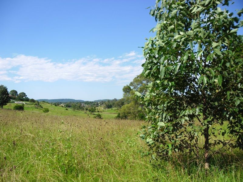 207 Araluen Rd, Moruya NSW 2537