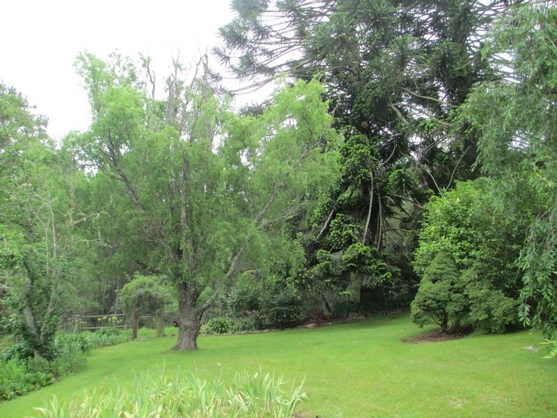 1883 Araluen Road, Moruya NSW 2537