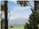 38 Narambi Close, Moruya NSW 2537