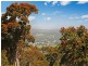 38 Narambi Close, Moruya NSW 2537