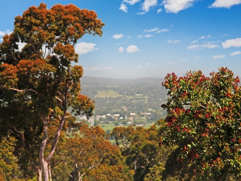 38 Narambi Close, Moruya NSW 2537
