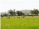 2310 Princes Highway, Moruya NSW 2537