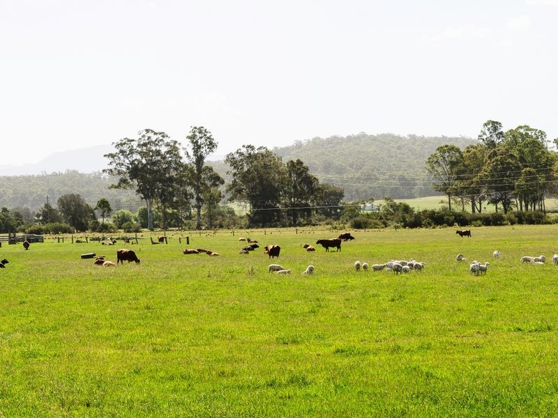 2310 Princes Highway, Moruya NSW 2537