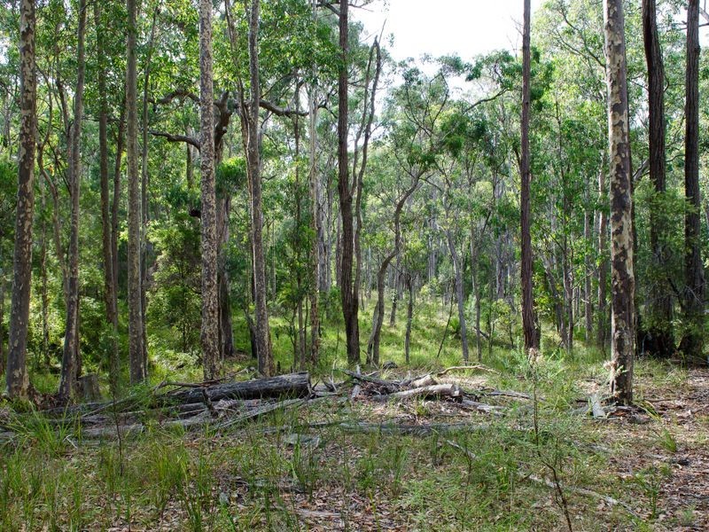 Lot 29 Collett Place, Meringo NSW 2537