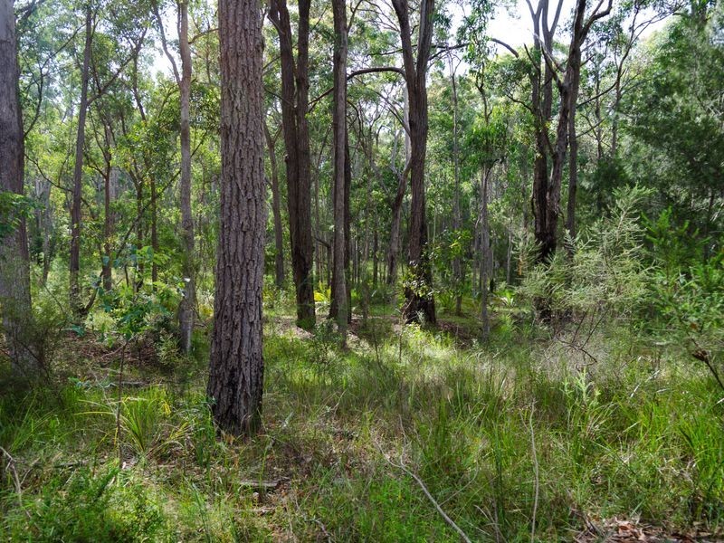 Lot 29 Collett Place, Meringo NSW 2537
