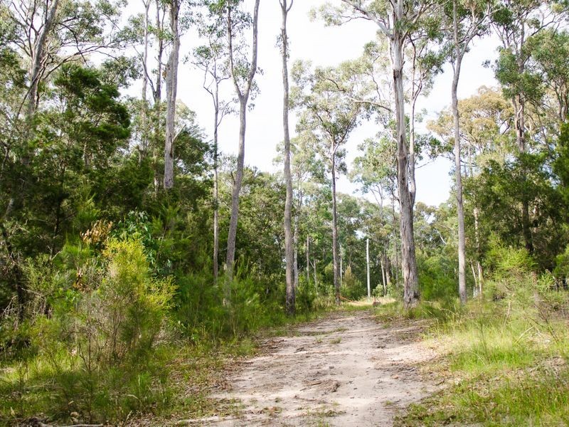 Lot 29 Collett Place, Meringo NSW 2537