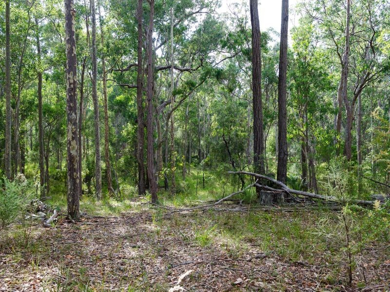Lot 29 Collett Place, Meringo NSW 2537
