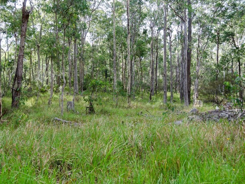 Lot 29 Collett Place, Meringo NSW 2537