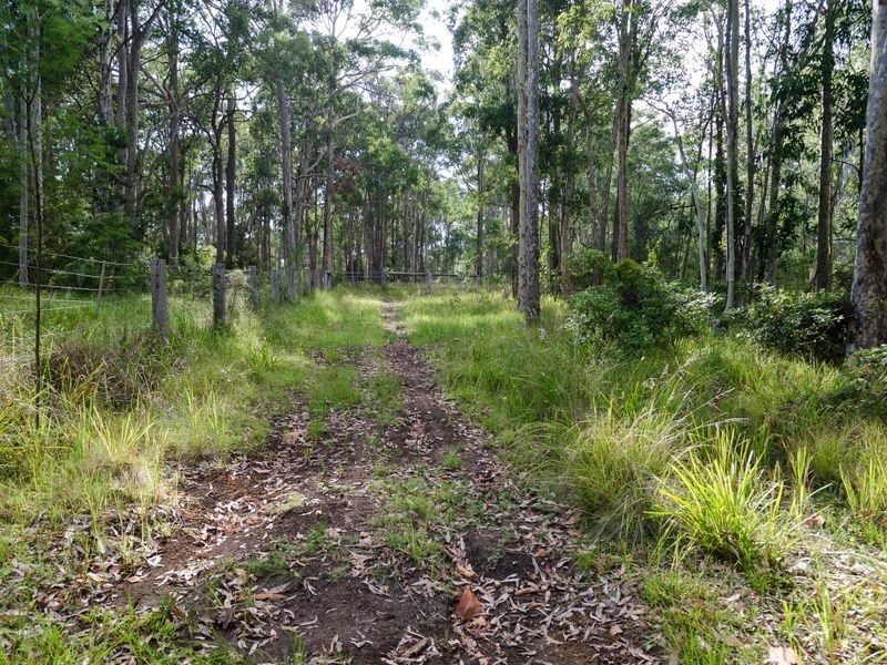Lot 29 Collett Place, Meringo NSW 2537