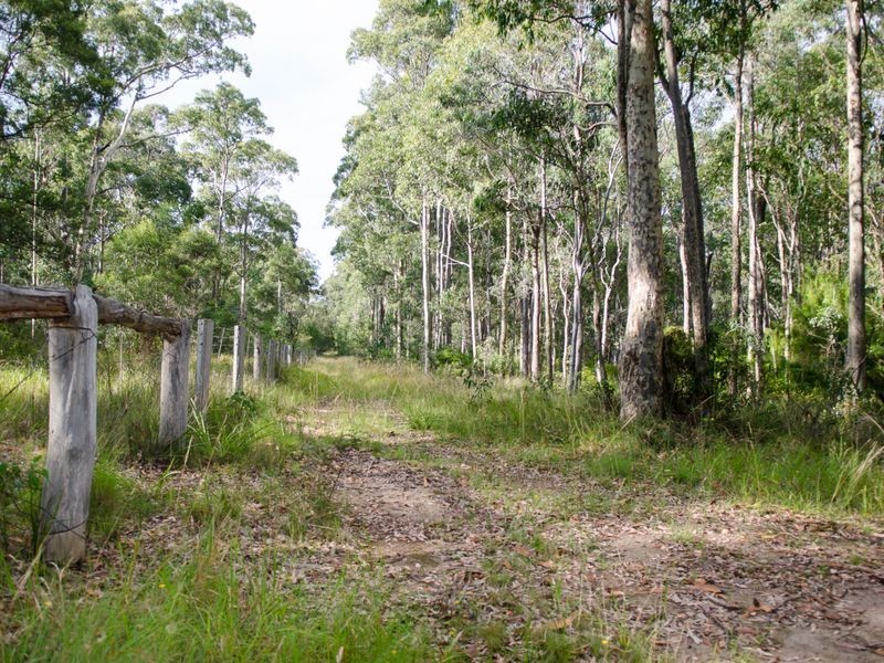 Lot 29 Collett Place, Meringo NSW 2537