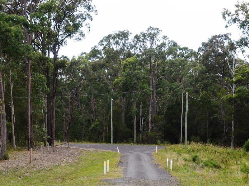 Lot 29 Collett Place, Meringo NSW 2537