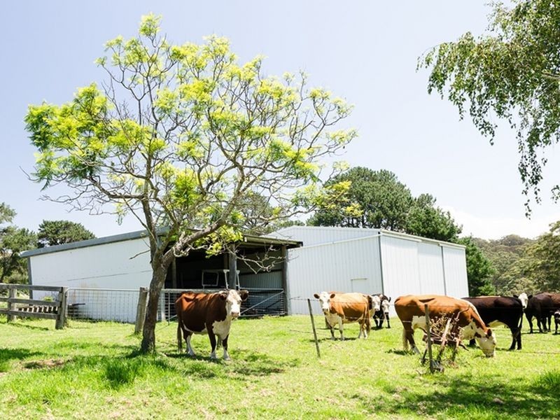 4072 Princes Highway, Tuross Head NSW 2537