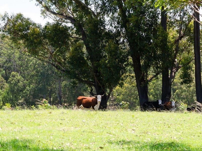 4072 Princes Highway, Tuross Head NSW 2537