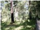 Lot 1 Old Mill Road, Turlinjah NSW 2537
