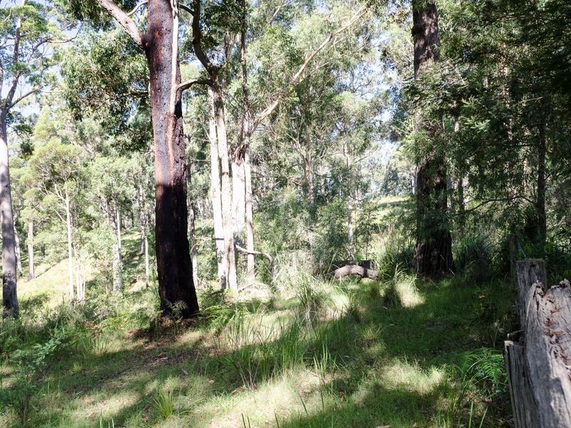 Lot 1 Old Mill Road, Turlinjah NSW 2537