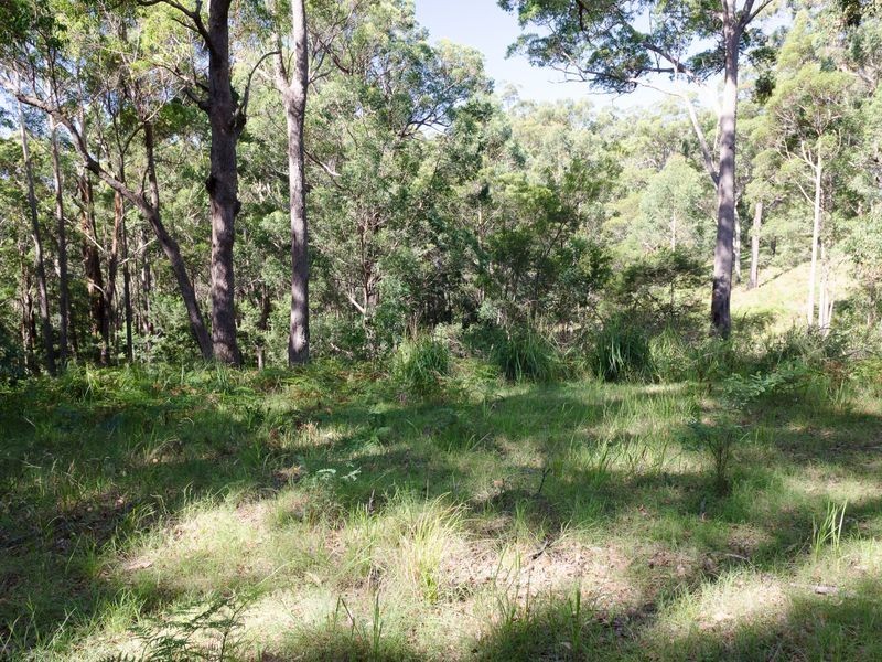 Lot 1 Old Mill Road, Turlinjah NSW 2537