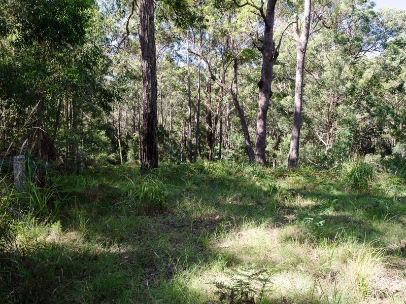 Lot 1 Old Mill Road, Turlinjah NSW 2537