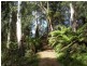 115 Gulph Creek Road, Nerrigundah NSW 2545