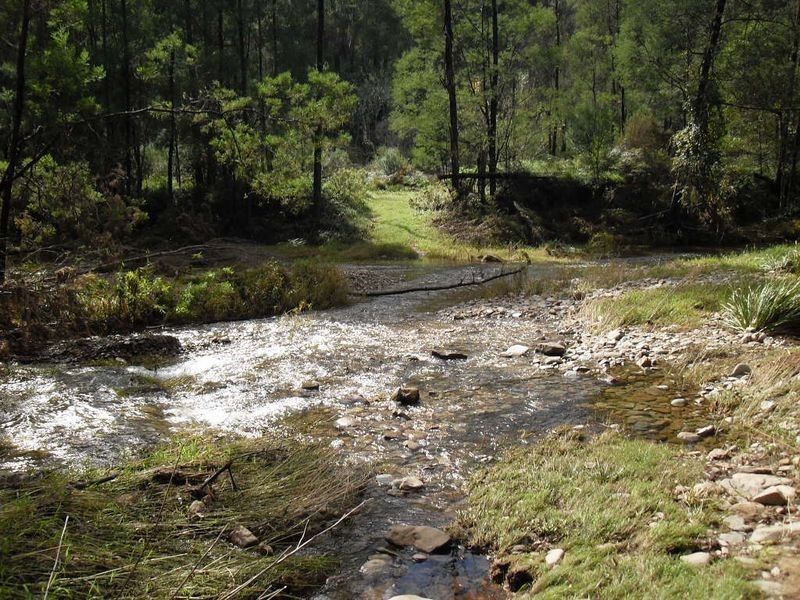 115 Gulph Creek Road, Nerrigundah NSW 2545