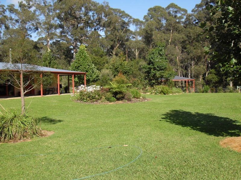 115 Gulph Creek Road, Nerrigundah NSW 2545