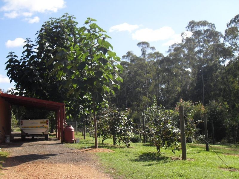 115 Gulph Creek Road, Nerrigundah NSW 2545