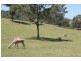 4276 Princes Highway, Turlinjah NSW 2537
