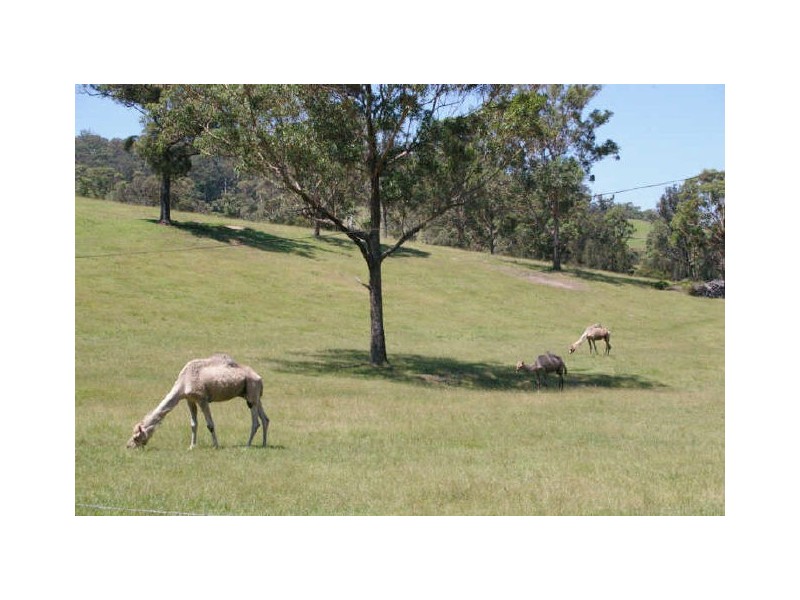 4276 Princes Highway, Turlinjah NSW 2537