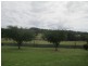 11 Wattlebark Place, Moruya NSW 2537