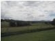 11 Wattlebark Place, Moruya NSW 2537