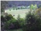 2685 Eurobodalla Road, Nerrigundah NSW 2545