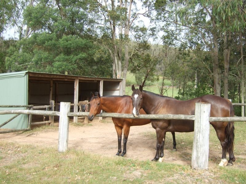 2685 Eurobodalla Road, Nerrigundah NSW 2545