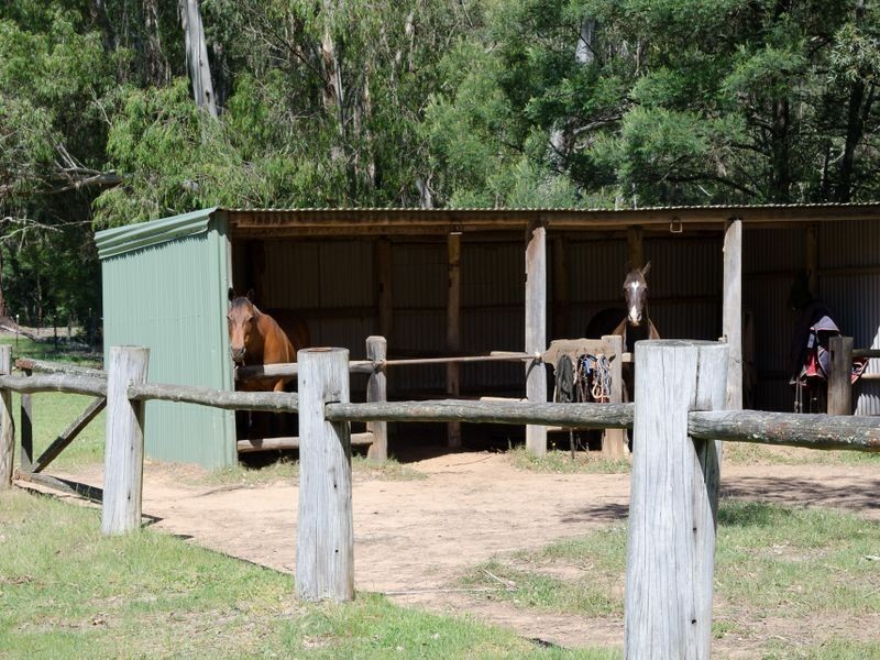 2685 Eurobodalla Road, Nerrigundah NSW 2545