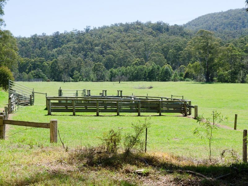 2685 Eurobodalla Road, Nerrigundah NSW 2545