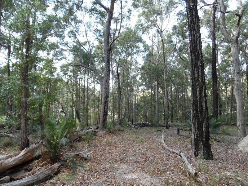 1131 Congo Road, Meringo NSW 2537