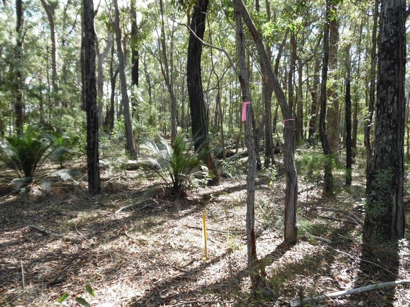 1131 Congo Road, Meringo NSW 2537