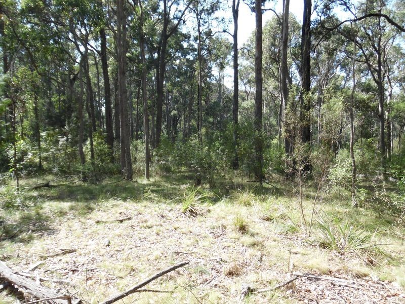 1131 Congo Road, Meringo NSW 2537