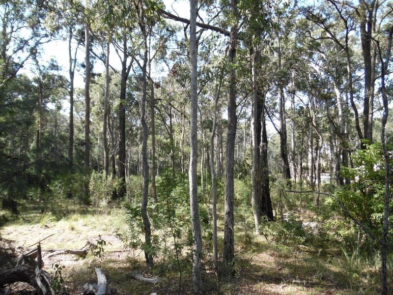 1131 Congo Road, Meringo NSW 2537