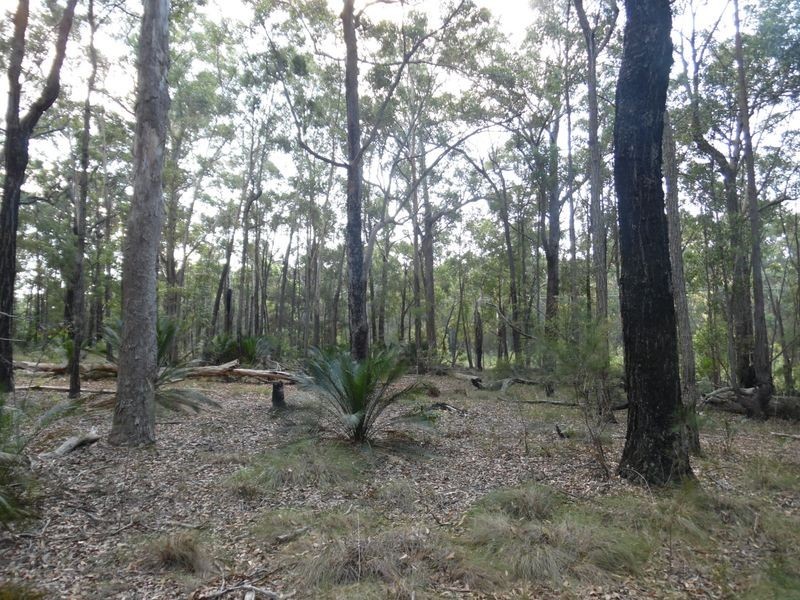 1131 Congo Road, Meringo NSW 2537