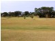 127 Larry’s Mountain Road, Moruya NSW 2537