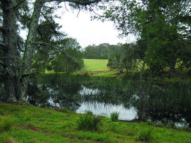 1 Gannons Point Road Long Paddock, Bodalla NSW 2545