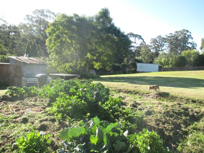 38 Eurobodalla Road, Bodalla NSW 2545