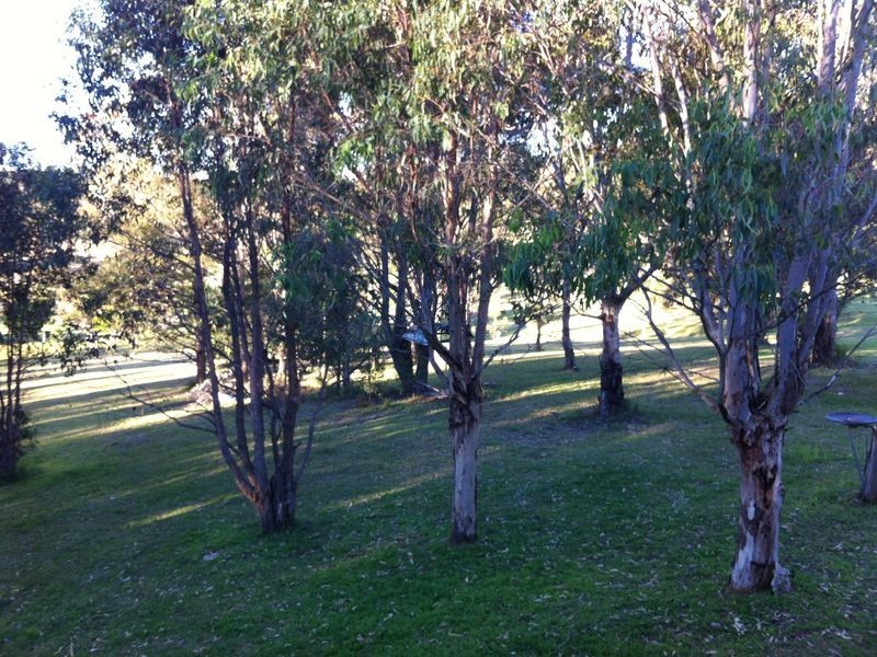 154 Francis Street, Moruya NSW 2537